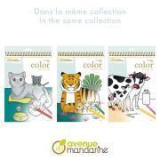 Caderno de 24 folhas para colorir animais da quinta Avenue Mandarine Graffy Maman-Baby