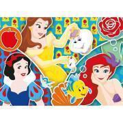 Puzzle 2 x 20 peças Disney Princess