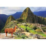 Puzzle de 1000 peças Educa Machu Picchu