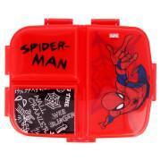 Caixa de sanduíche múltipla xl de aranha Marvel